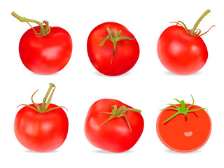 Set of Realistic red Tomatos. Vector illustration. Isolated on w