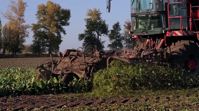 large plow of harvester for harvesting of beet