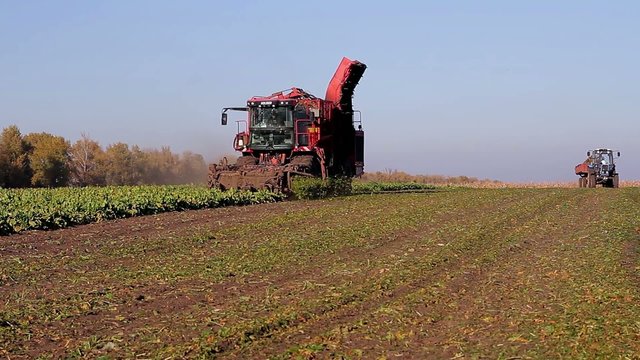 harvesting with using combine and tractor