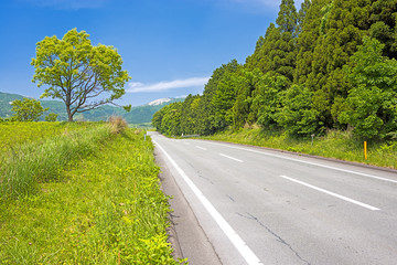 瀬の本高原の道