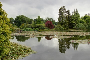Fototapeta premium jardin anglais
