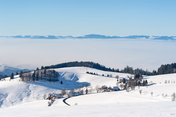 Winterlicher Schwarzwald mit Vogesen