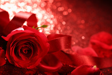 Fototapeta na wymiar Valentine rose