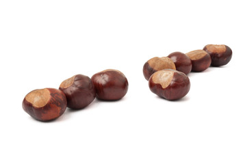 Lined up chestnuts with one off the crowd
