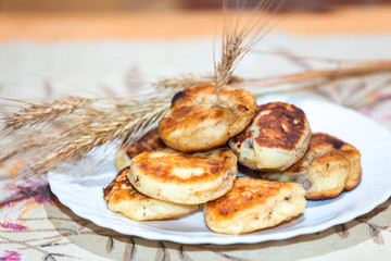 Tasty curd fritters decorated with oat ears on white plate