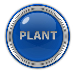 Plant circular icon on white background