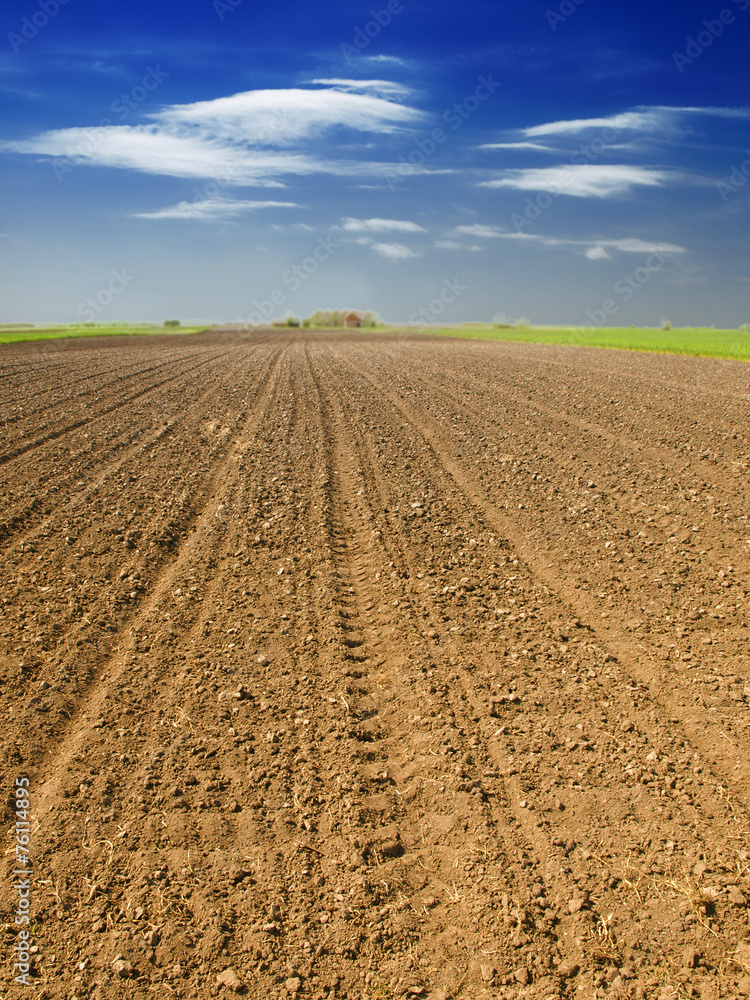 Sticker plowed field and blue sky