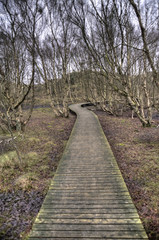 Fototapeta premium Pond on Amrum