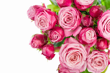 Pink roses bouquet