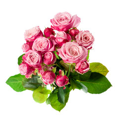 Pink roses bouquet