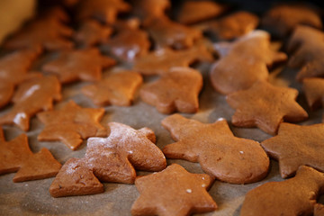 Gingerbread. The Christmas cookies
