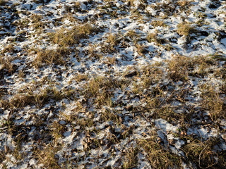 Beautiful view of winter frozen desert dunes