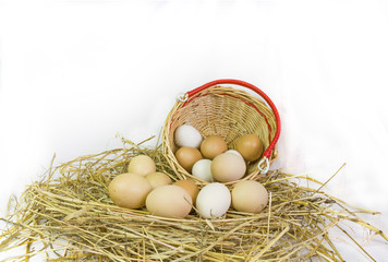 Obraz premium hen 's eggs, nest, basket