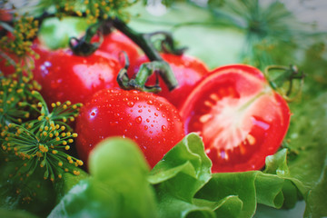 fresh tomatoes close-up