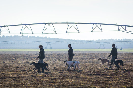 Cazadores con sus perros cazando