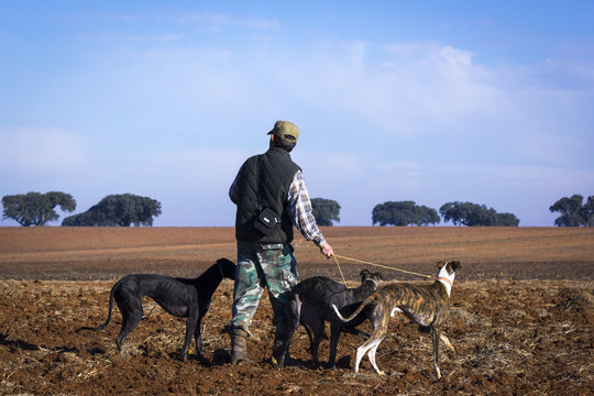 Cazadores con sus perros cazando