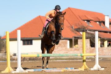 horse jumping