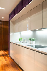 White furniture inside modern kitchen