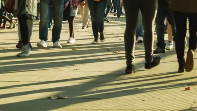 Afternoon crowd with long shadows