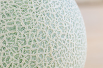 melon fruit peel background