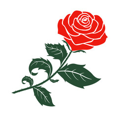 red rose design,vector  illustration