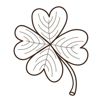 Sketch clover leaf isolated on white.