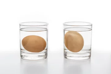 Schilderijen op glas Test for Fresh and rotten eggs © kunertus