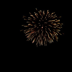 Fireworks light up the sky 