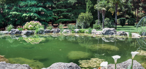 Пруд с водяными лилиями в парковом пруду © chingis61