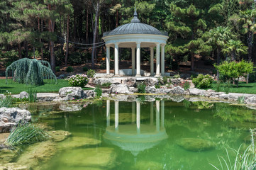 Пруд с водяными лилиями в парковом пруду © chingis61