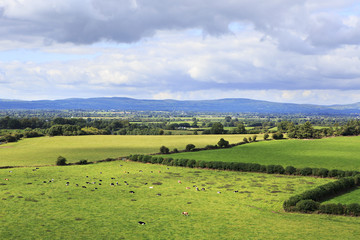 Naklejka premium Beautiful summer landscape. View from the Rock of Cashel.