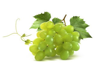 Small green grapes bunch and leaf isolated on white