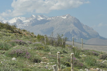 Taurus Mountains. Turkey. Steep cliffs and gorge.