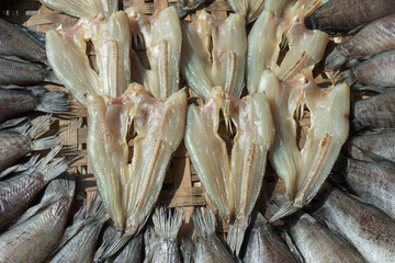 striped snake-head fish dried