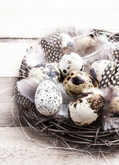 Quail Easter eggs in nest on rustic bright  wooden background