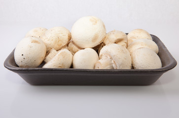 Mushrooms in black plastic tray