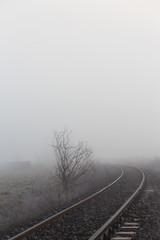 Railroad tracks in the fog