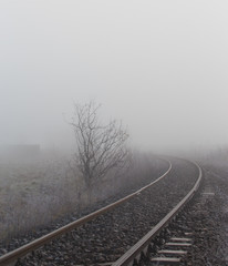 Fototapeta premium Railroad tracks in the fog