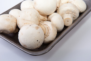 Mushrooms in black plastic tray