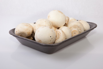 Mushrooms in black plastic tray