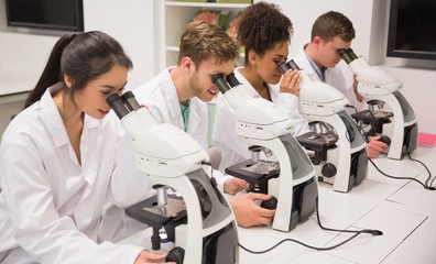 Medical students working with microscope