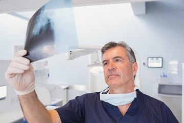 Fototapeta premium Serious dentist examining a x-ray