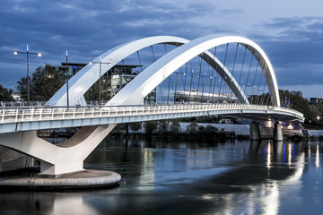 Horizontal view of Lyon city near confluence district with Rhone