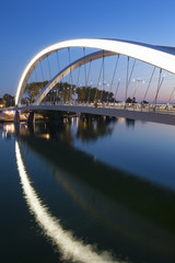 Obraz na płótnie Canvas Vertical view of Lyon city near confluence district