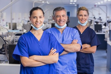 Portrait of smiling co-workers in a line with arms crossed