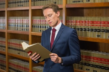 Handsome lawyer in the law library