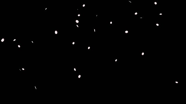 桜吹雪　少なめ