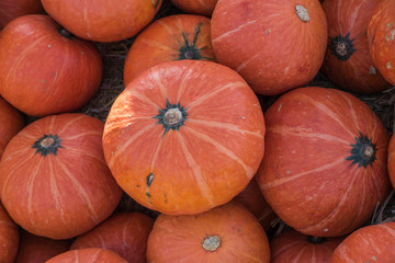 Asian pumpkins