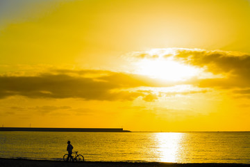 Naklejka na ściany i meble bicycle at sunset