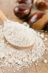 Fototapeta na wymiar chestnut flour in a wooden spoon